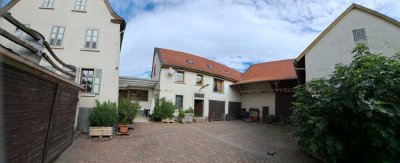 Ehemaliger Winzerbetrieb im alten Ortskern von Fl.-Dalsheim mit historischem Hintergrund und ELW