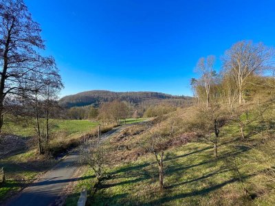 Charmantes Mehrfamilienhaus mit großem Grundstück - Feldrandlage!