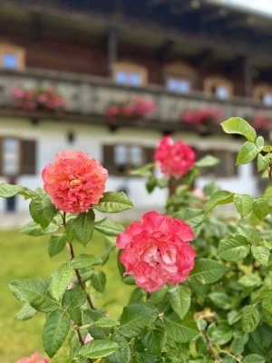 FERIEN- UND ZWEITWOHNSITZ - Traumhafte Bauernhaushälfte in idyllischer Umgebung