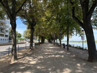 BONN Zentrum, tolle 3,5 Zi. Maisonnette-Whg, 93 m² Wfl. im 4 Part. Haus ca. 100 m vom Rhein, Balkon