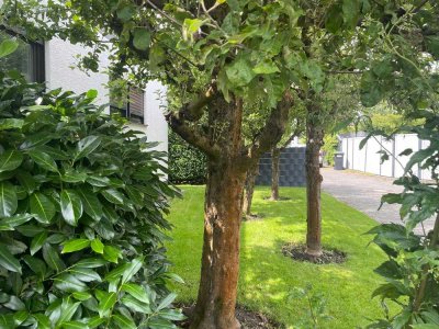 Großzügiger Bungalow mit Garten in ruhiger und gepflegter Wohnlage