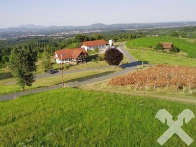 Landsitz mit Weingarten in einzigartiger Aussichtslage