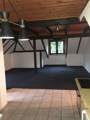 Schöne 1-Zimmer Wohnung in St. Dionys, Barum, Lüneburg