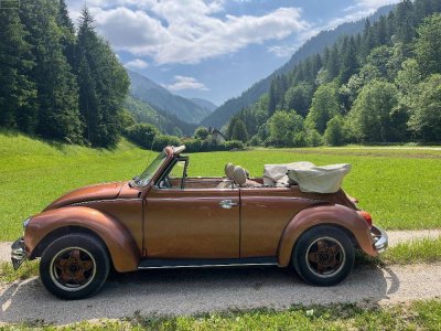 MARIAZELLER LAND - in einem traumhaften Seitental - Haus mit extremen Potential !