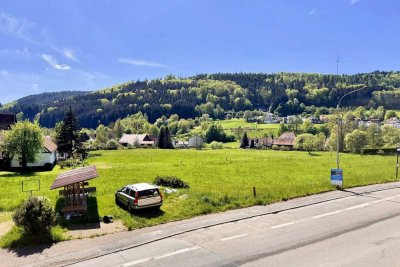 RENOVIERUNGSBEDÜRFTIGES HAUS MIT EINLIEGERWOHNUNG, sowie viel Potenzial und noch mehr Geschichte!!!