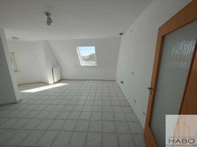 Große Wohnung in zentaler Lage