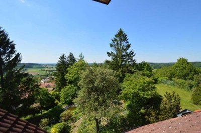 Weitblick Donautal 1-2-Fam.-Hs. inkl. 1-Zi.-ELW  3 Bäder, 3695 m² Garten  in Brennberg
