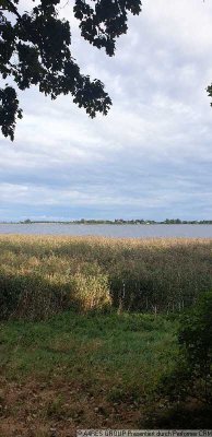 Reif für die Insel? 2-R-Whg. mit Balkon + Fahrstuhl in Riems