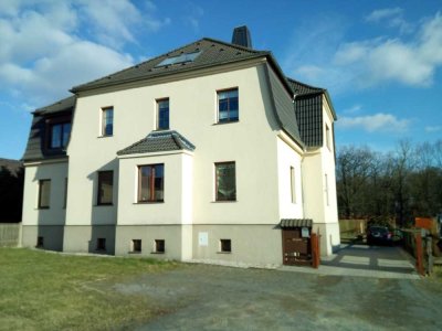Geräumige 1-Zimmer-Wohnung in Belgershain