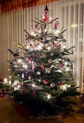 ERFÜLLEN SIE SICH IHREN TRAUM: FAMILIENWEIHNACHTEN 2026 IM EIGENEN HAUS! TEL. 01714863595