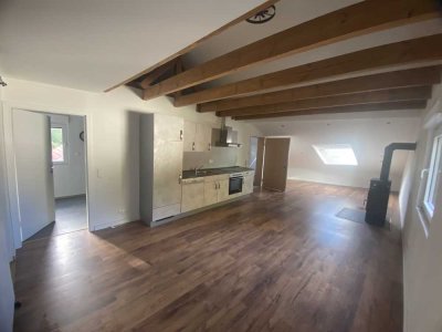 Charmante 1-Zimmer Wohnung, frisch renoviert, in Eisenberg (Pfalz)