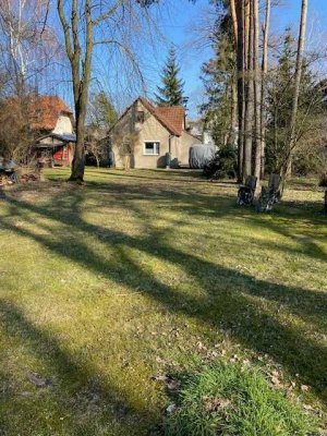 Bungalow mit 100m² Wohnfläche und Grundstück in Schildow