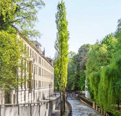 Top sanierte 1 ZKB Wohnung im Denkmal mit  Balkon und EBK in Au, München - neuwertig