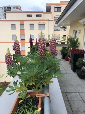 von Privat: Exklusives Penthouse mit 4 Zimmern und Dachterrasse in Obertshausen / Hausen