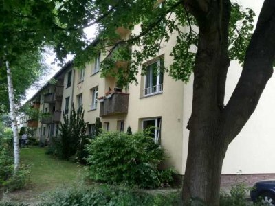 Wohnung, EG, rechts, Nierenhofstr. 13