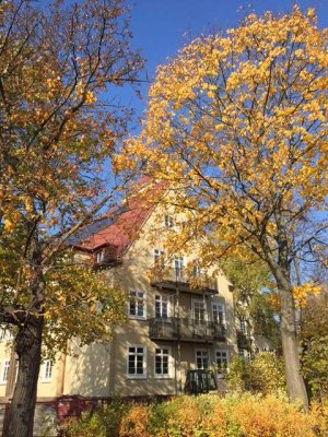 Schöne großzügige 2  Zimmerwohnung Balkon und Tageslichtbad