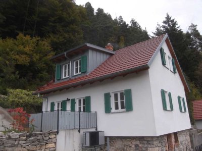 Energieeffiziente und hochwertige modernisierte   2-Zimmer - EG-Wohnung
