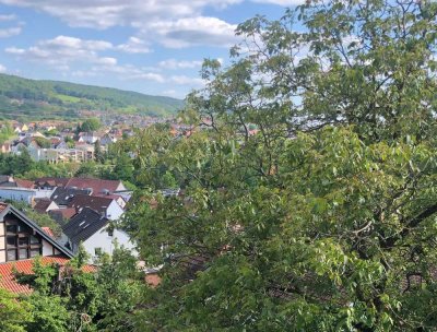 5,5 Zimmer-Luxuswohnung im Zweifamilienhaus in bester Wohnlage von Alzenau