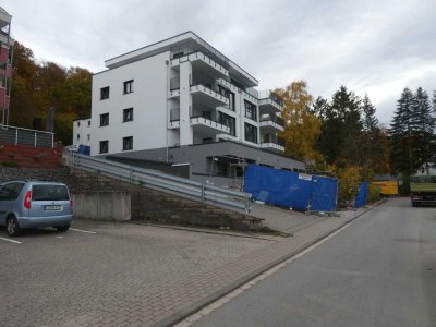 Toller Rheinblick- Helle altengerechte Wohnung im KFW 40 Energiesparhaus in ruhiger Lage im Grünen