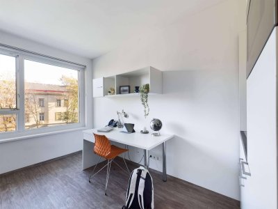 DIE ZIMMEREI | Möblierte 1-Zimmer-Wohnung an der SFU &amp; WU ideal für Studierende | Bigger Bude