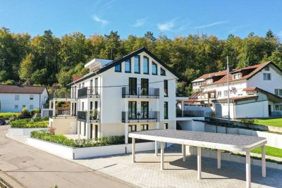 Mit Panorama-Blick ! neuwertige 3,5-Zi-Terrassenwohnung mit luxuriöser Ausstattung u. Einbauküche
