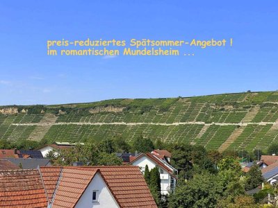 Aktuelles Spätsommer-Angebot !   -   2 schicke Tiny-Häuschen mit Garten ...