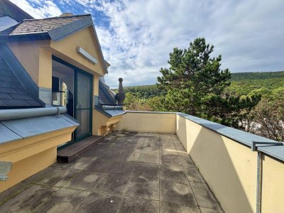 Historische charmante Altbau-Villa mit 3 DG-Einheiten inkl. Dachterrassen I 2012 Generalsanierung inkl. Lift I Grünlage
