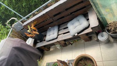 Gemütliche Kapitalanlage im Erdgeschoss eines 7 Familienhauses mit Balkon