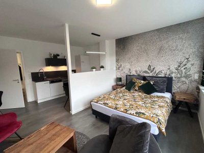 Exklusive, möblierte  1-Raum-Single-Wohnung in Eggolsheim