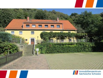 Kleine 2 Raumwohnung im Dachgeschoss mit Einbauküche - Pirna OT Posta!!!