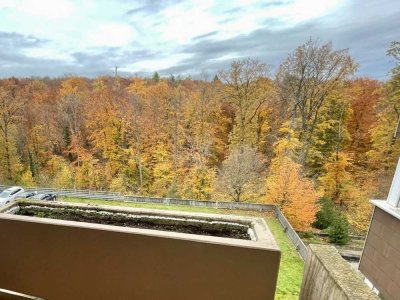 Schöne 3,5-Zimmer-Wohnung mit zwei Balkonen und EBK in Mosbach-Waldstadt