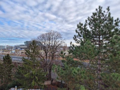 SCHÖNSTE TERRASSE IN DER RUTHNERGASSE/SANIERUNGSBEDÜRFTIGE DG-WOHNUNG NÄHE S-BAHN SIEMENSTRASSE