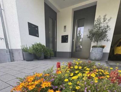 Bright modern apartment - kitchen, terrace and great view included
