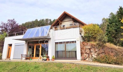 Behagliches Zuhause mit Weit- und Ausblick – Wohnen und Arbeiten in natürlichem Ambiente