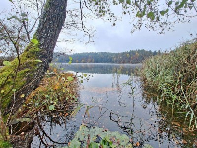 Wohnen mit Hauscharakter – Erdgeschosswohnung in Ruhelage am Saissersee