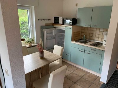 Modernisierte 1-Zimmer-Erdgeschosswohnung mit EBK in 53332, Bornheim