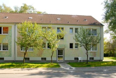 Bezugsfertige 3-Zimmer-Wohnung in Recklinghausen Hochlarmark