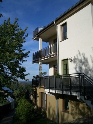 IDYLLISCHE WOHNLAGE MIT TRAUMBLICK ÜBER ZWICKAU !