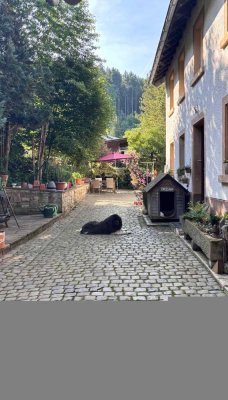 Renovierter Bauernhof mit viel Platz