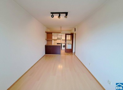 3-Zimmer-Wohnung mit Entwicklungspotenzial in Toplage des 20. Bezirks