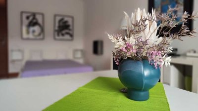 700 € - 35 m² - 1.0 Zi. Möbliertes Apartment mit traumhaftem Bergblick in Immenstadt