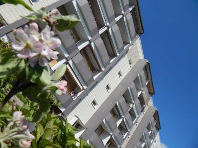 Top renovierte 3-Raum-Wohnung