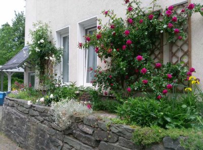 Wohnen im Grünen mit Garten und Kamin