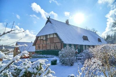 Denkmalgeschütztes Bauernhaus mit viel Land und Stadtnähe (125m2 von 500m2 ausgebaut))