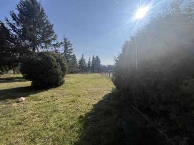 Einfamilienhaus mit viel Platz