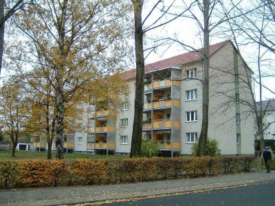 Neu renovierte 2,5-Raumwohnung mit Kletterbonus