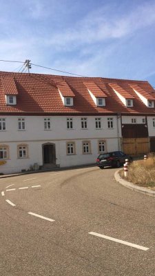 Helle, große Wohnung mit Studio und Dachterrasse in Meimsheim!