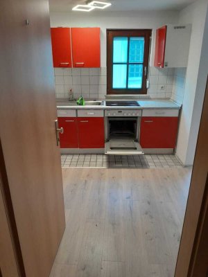 Attraktive und modernisierte 2-Zimmer-Wohnung mit Balkon und EBK in Gundelsheim