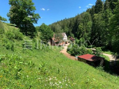 ** Das Landhaus mit Charme in Alleinlage **
