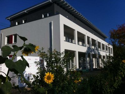 2-Zimmer-Wohnung mit Balkon in Bielefeld - Brackwede